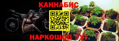 кокаин колумбия Новозыбков