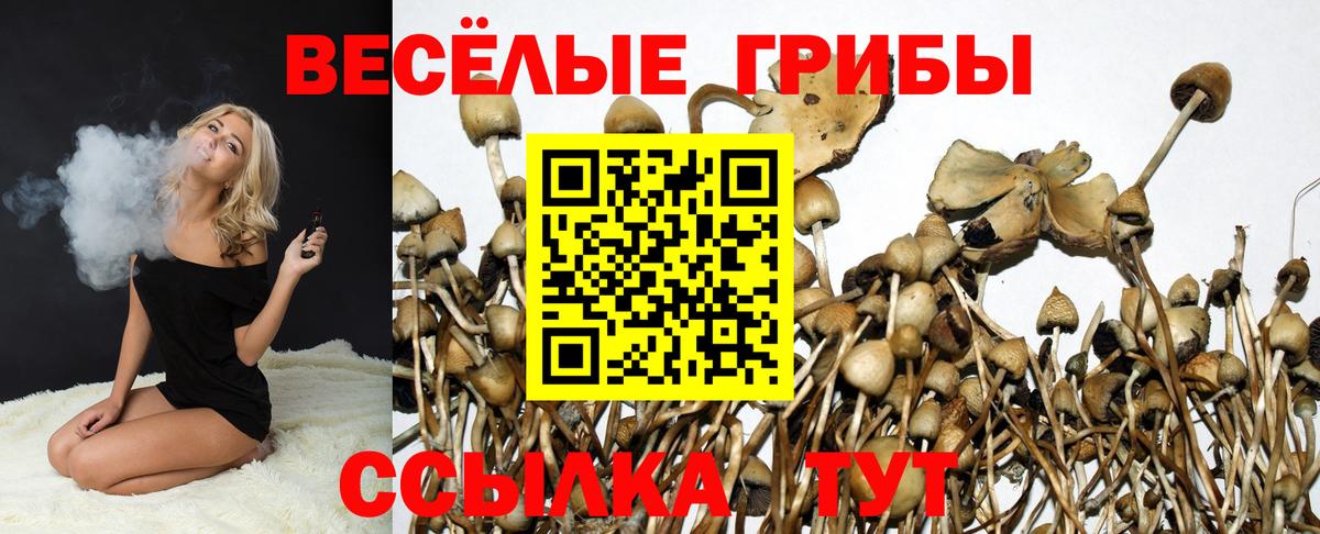 Краснотурьинск  Псилоцибиновые грибы Psilocybe  Галлюциногенные грибы мицелий  Вход с VPN 
