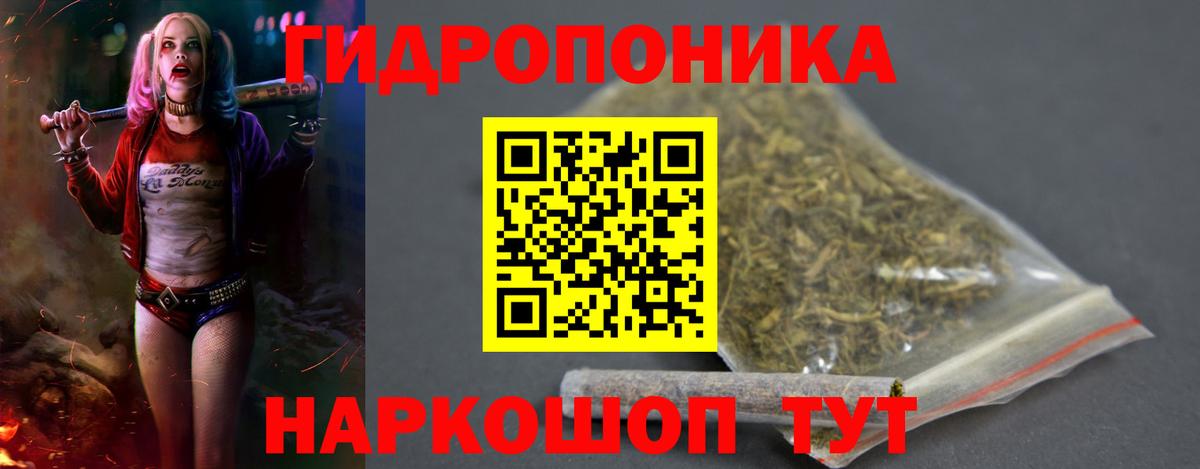 Краснотурьинск  МАРИХУАНА White Widow  Вход с VPN  Бошки марихуана конопля  Конопля конопля 